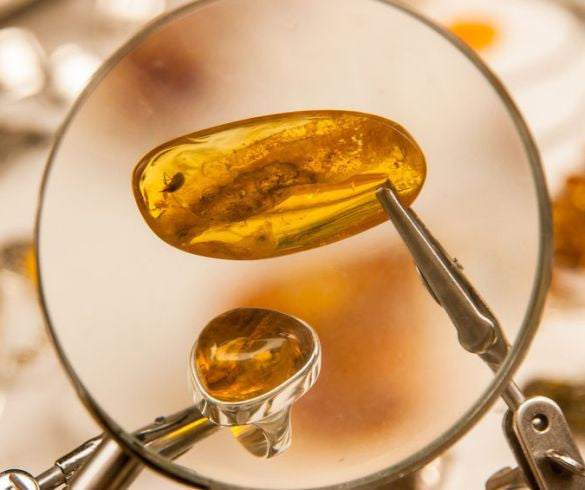 Spot Fake Amber