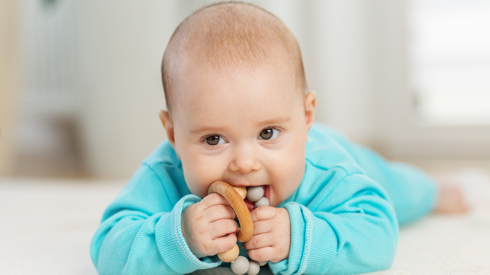 Baby teething with a wooden toy during the early teething stage