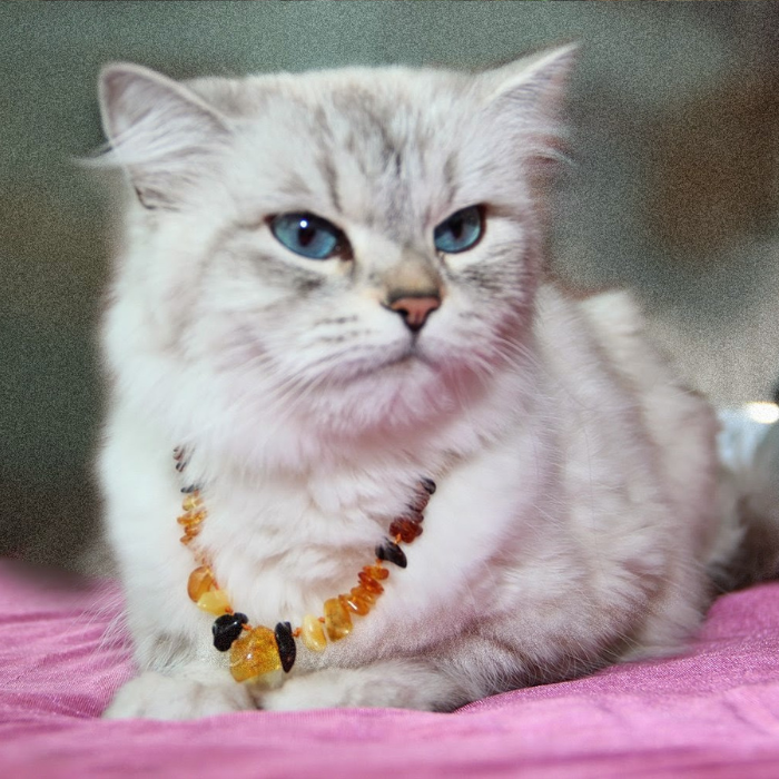 Dog Or Cat Pet Baltic Essentials Amber Repel Flea And Tick Collar Raw Honey Or Multi