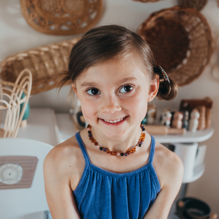 Baltic Amber Necklace Dark Amber Pink Rose Quartz Amethyst Shungite