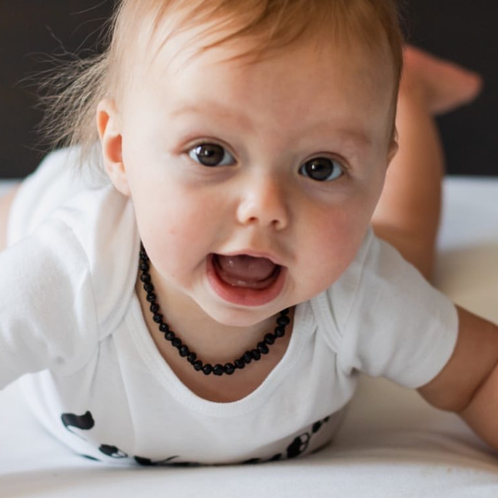 Baltic Amber Necklace - 12.5 Inch Baltic Amber Necklace Polished Black Cherry & Lapis Lazuli