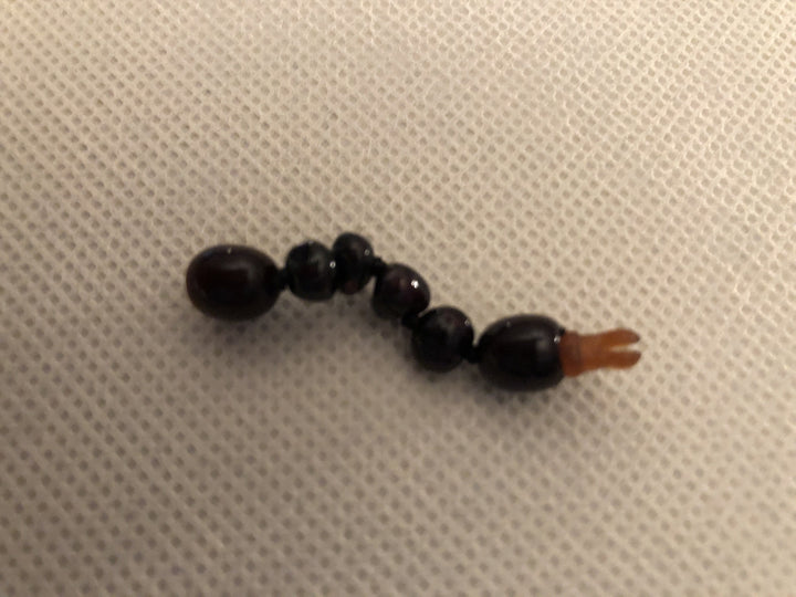 Baltic Amber - Polished Or Raw Baltic Amber Round Bean Hazelwood Extender 1.5 Inch Extended