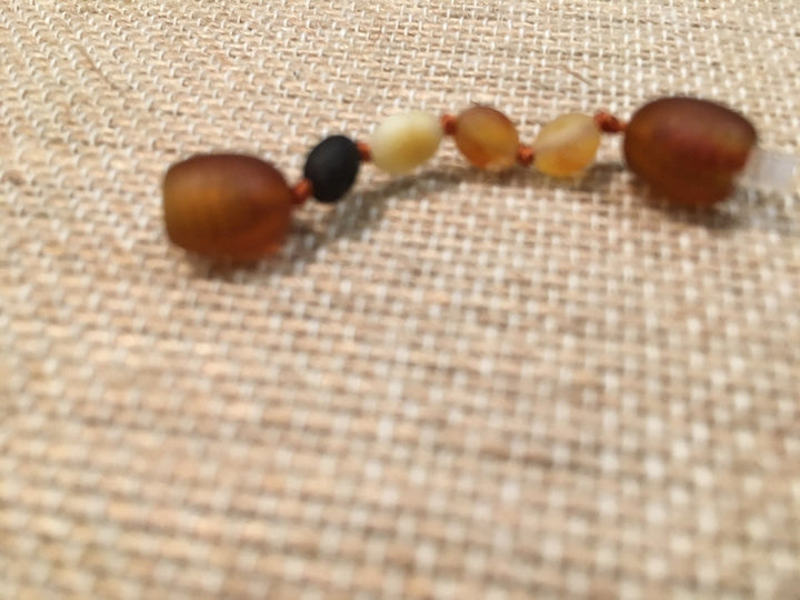 Baltic Amber or Hazelwood Extension 1.5 inches for baby, bub, infant, toddler, big kids, or adult. 