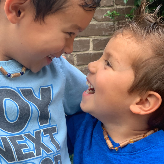 Hazelwood Necklace - Raw Honey Hazelwood 12.5 In GERD Colic Eczema Baltic Amber Necklace